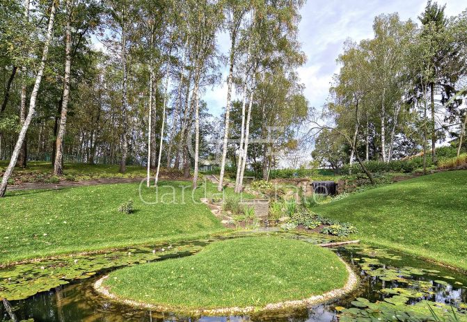 Николино