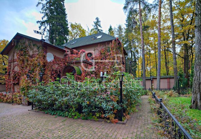 РАНИС